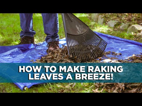 How to Rake Faster with a Tarp and Wooden Dowels