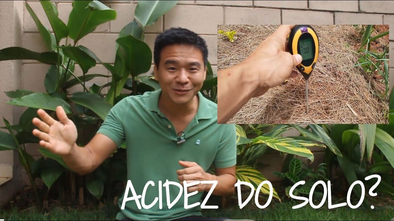 Entenda de vez a ACIDEZ DO SOLO