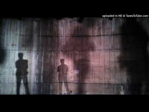 Polarity - Within The Shadows