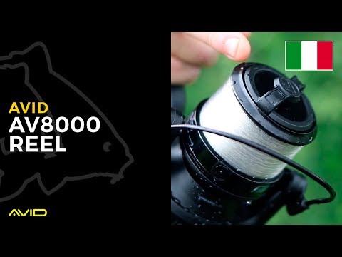 AVID CARP- AV8000 Reel- Italian