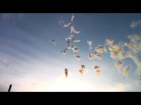 Adelfia San Trifone 2017 -  Bruscella -  Spettacolo Diurna