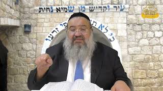 פניני הזוהר על הפרשה עם הרב רחמים נמני | פרשת ויקהל פקודי (מוסדות כיסא רחמים) - התמונה מוצגת ישירות מתוך אתר האינטרנט יוטיוב. זכויות היוצרים בתמונה שייכות ליוצרה. קישור קרדיט למקור התוכן נמצא בתוך דף הסרטון