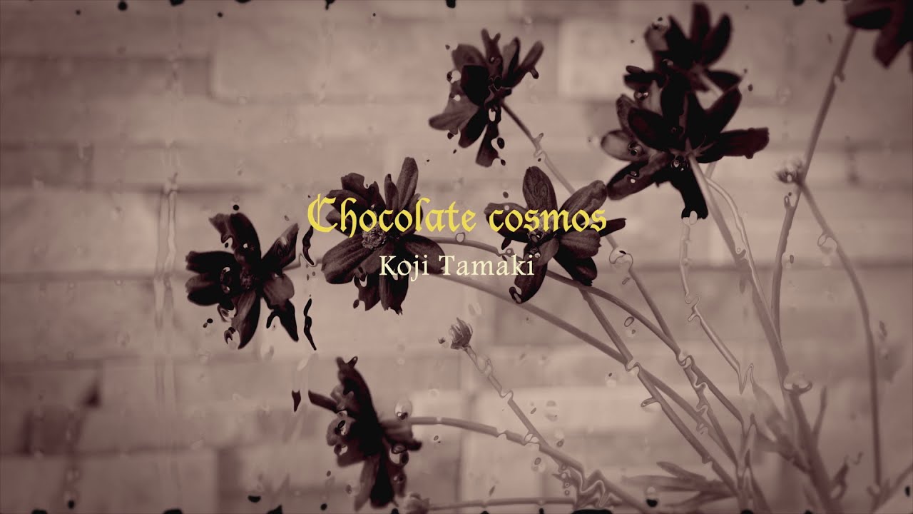 Lyrics Translations Of Chocolate Cosmos By Koji Tamaki Popnable Lyrics Translations Of Chocolate Cosmos By Koji Tamaki Popnable