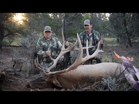 Arizona Elk Hunt: "The Right One" A Public Land Hunt for a One-of-a-Kind Bull