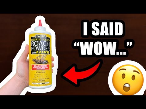 You Should Know This Before Buying HARRIS Boric Acid Roach and Silverfish Killer Powder (Important)