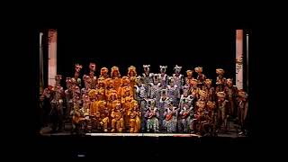 Los africanos – Preliminares – COAC 2007