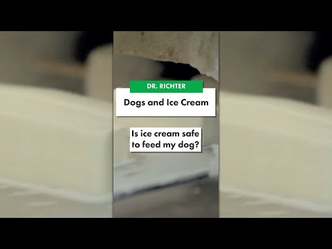 Is It Okay To Feed My Dog Ice Cream? | Ultimate Pet Vet