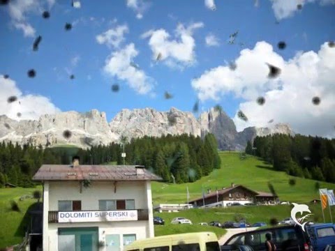 Blue Birds... das Duo, ja, ja, das ist Lustig