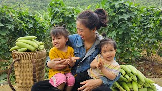 Single mother - harvests melons with her two children to sell at the market | Lý Thị Thụy