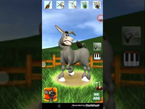 talking donald donkey le pegan