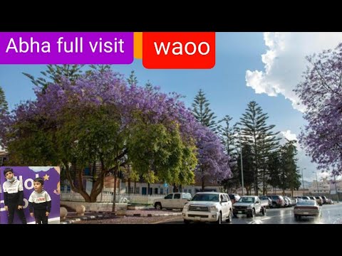 Abha saudi arabia tour High city