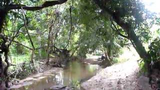 preview picture of video 'Sri Lanka,ශ්‍රී ලංකා,Ceylon,Jungle River (01)'