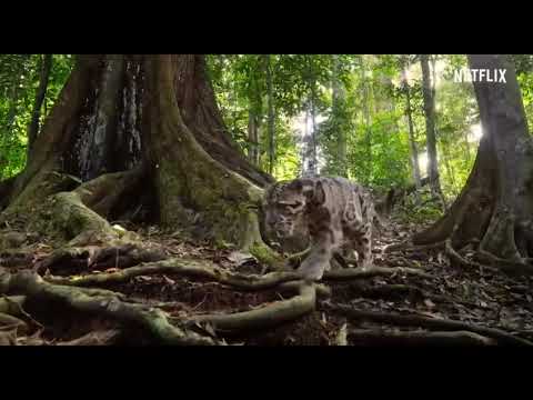 My student haneen bin bishr💕💕