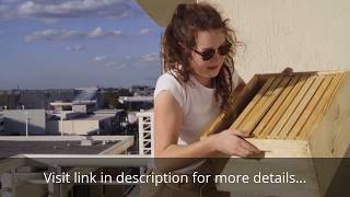 How to choose beehive starter kit (FOR BEGINNERS)