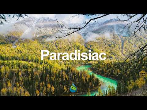 Ballistic Brothers vs The Eccentric Affros - Blacker (Sweet Green Jam)