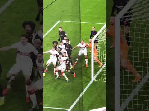 Bayer Leverkusen vs VfB Stuttgart #vfb #bayer04 #bundesliga #rudelbildung