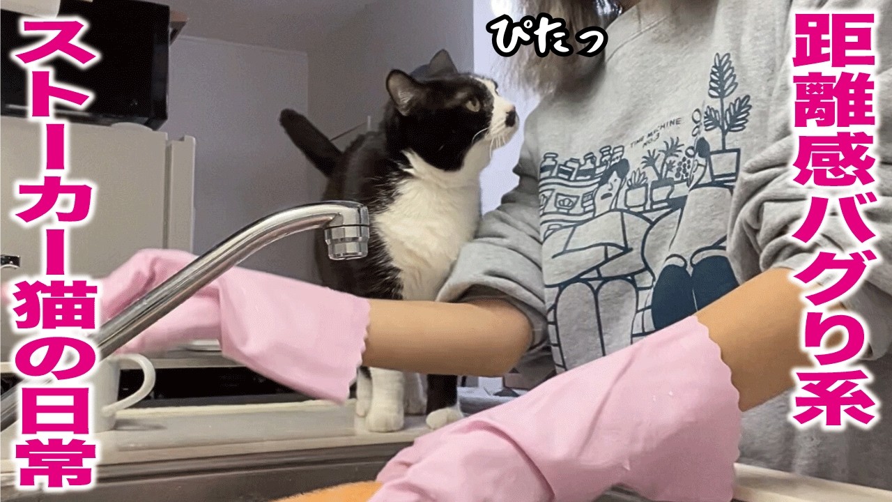 何をしてても常にゼロ距離にいる