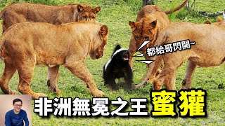 Re: [討論] 其實我覺得巧芯是真的胸無大志嗎?