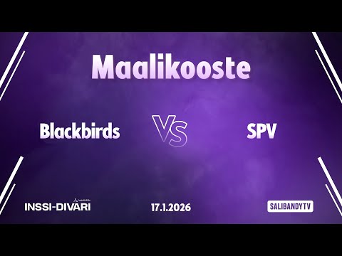 Maalikooste: Blackbirds - SPV (Inssi-Divari N)