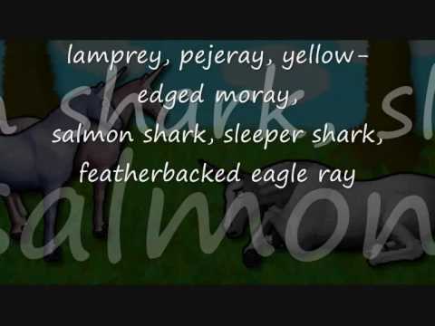 Charlie the unicorn, songs from 1, 2 and 3 *LYRICS*