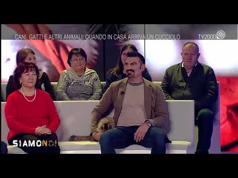 Siamo Noi puntata del 9 novembre 2017