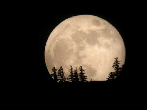 BLVCK CEILING - GATTI [pop smoke verse]