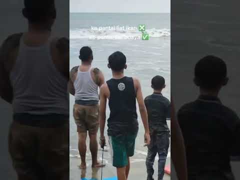 Viral! Penampakan Buaya Di Laut #viral #viralvideo #buaya