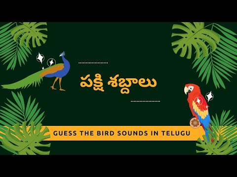 Guess bird sounds - పక్షి శబ్దాలు