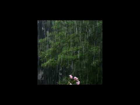 free ~ jungle jack type beat "saison des pluies"