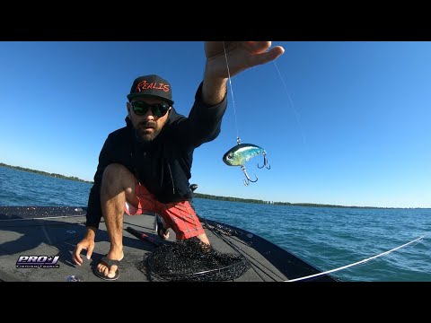 Power Fishing Smallmouth with Duo Realis Vibration 68 Apex Tune