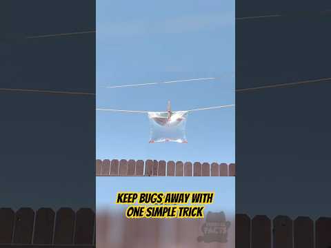 Flies Hate This Simple Trick – Here’s Why