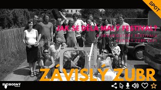 Jak se dělá malý fest. aneb Závislý Zubr 2021 | #punktalk​​​ | Svobodný prostor | #svobodnyprostor