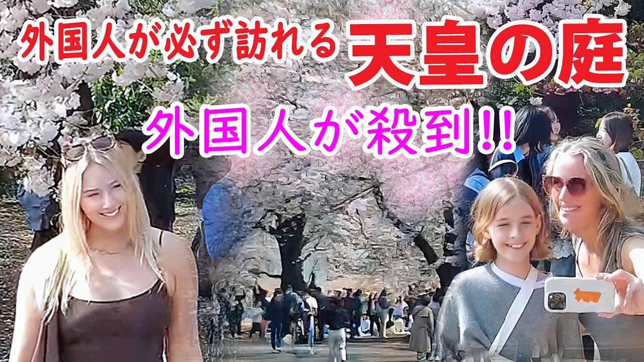 【外国人 殺到！】日本の桜100選の皇室の庭 新宿御苑  大混雑！#japan #tokyo #shinjyuku