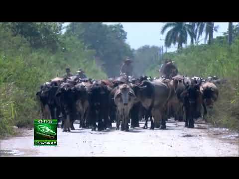 Situación de emergencia en Yara tras el paso del huracán Melissa