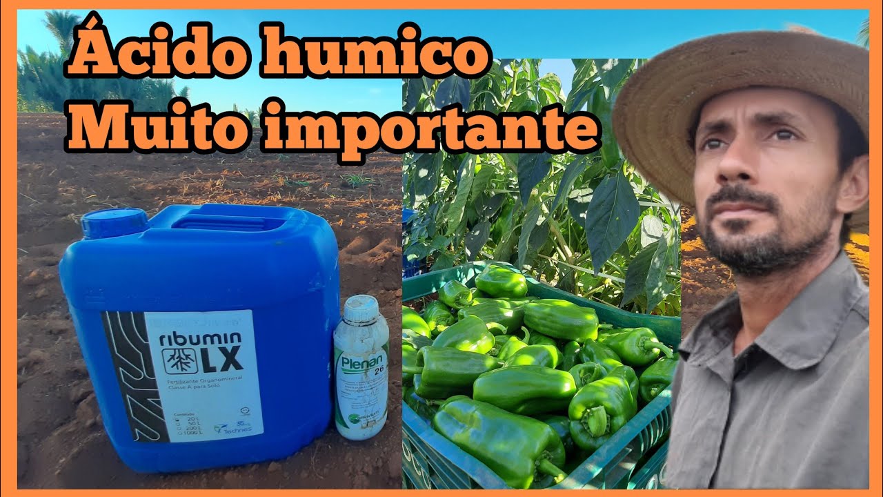 A importância do ácido húmico  nas hortaliças, #enraizador