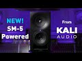 Kali Audio Moniteur de studio SM-5 Noir Kali Audio Moniteur de studio SM-5 Noir