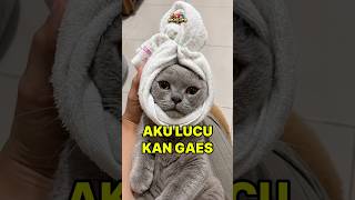 Download lagu wkwkwk lucu banget kalo mandi 😂😂😂 mp3 Download lagu wkwkwk lucu banget kalo mandi 😂😂😂 mp3