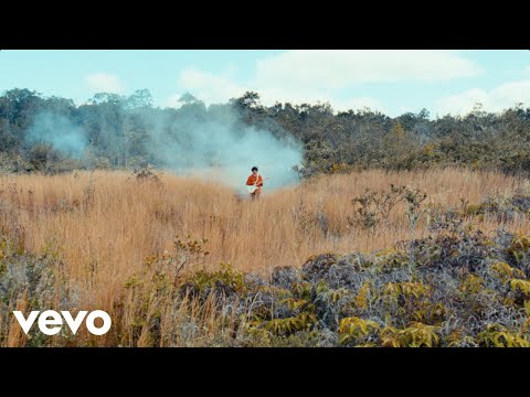 Low Hum - Only If You Say So (Official Music Video)