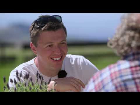 Klassik am Dom 2017 Clip Grubinger - Lainer