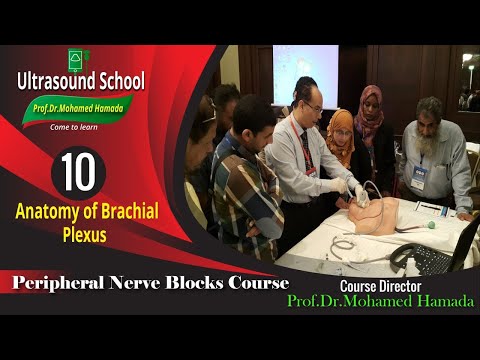 Basic Physics of Ultrasound Part 1 Mohamed Hamada 1