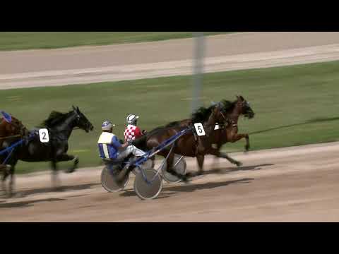 2021.06.06. 02. futam - DR. VECSEKLŐY JÓZSEF EMLÉKVERSENY - I. FUTAM