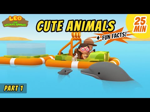 Witness21 Editor  2020 06 18