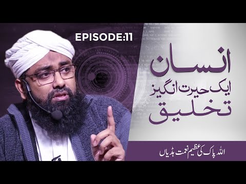 Insan Aik Hairat Angaiz Takhleeq Ep 11 – ALLAH Pak Ki Azeem Naimat Haddiyan – Muhammad Soban Attari