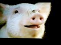 Charlotte S Web 2006 Trailer 2