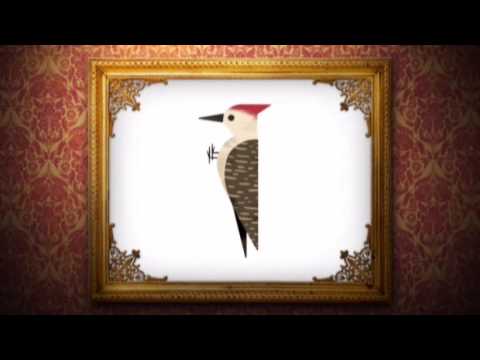 The Woodpeckers - The Woodpecker