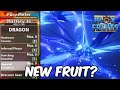 Blox Fruits New Fruit Releasing in Update 24..?