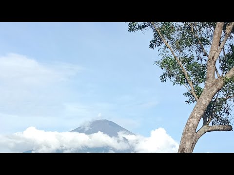 TAKUT KETARA FUNKOT HARD XXX3