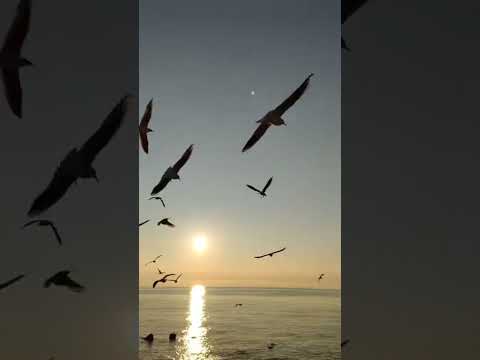 #dnb #sochi #кайфуй