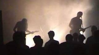 The Gloria Record - The Arctic Cat