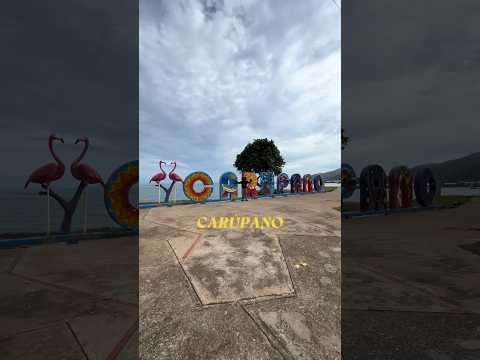 Carúpano 🌊. ¡Vengan pa’ acá, Carúpano es de pinga! 😎#Carúpano #Sucre #venezuela